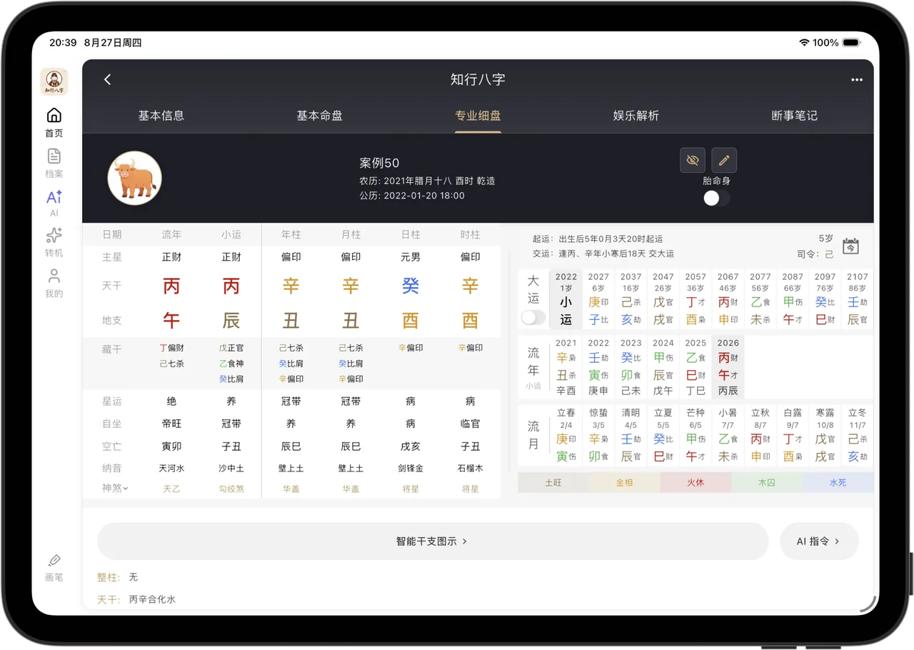 知行八字 iPad 横屏界面:左侧栏导航 + 左右分栏的八字专业细盘