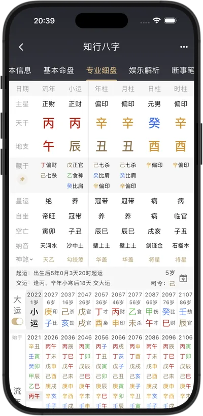 知行八字 iPhone 竖屏界面:同一张八字专业细盘的单列排法
